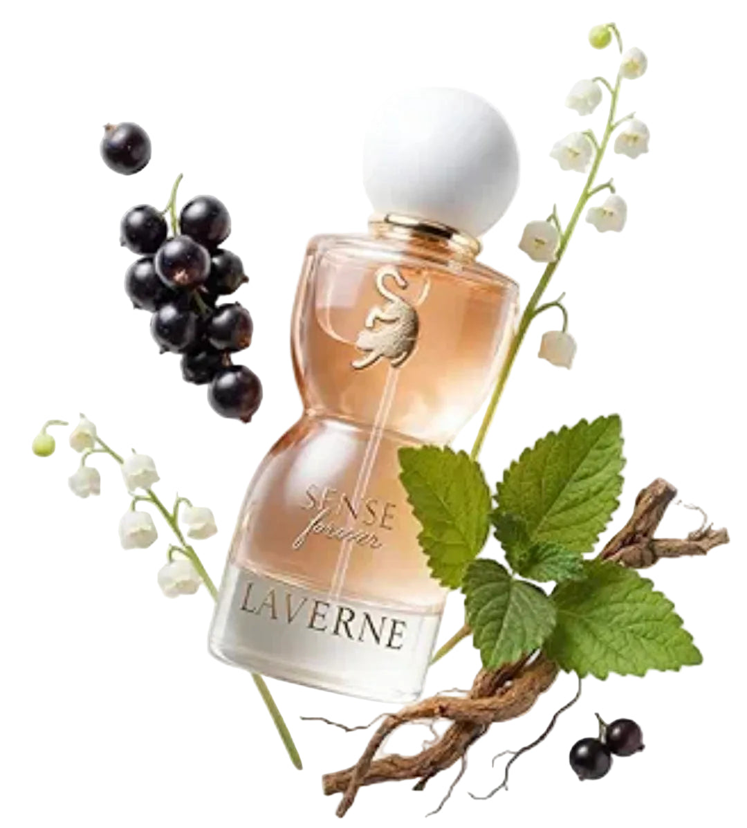 SENSE Forever Set von Laverne Parfums | 3-teiliges Set | Eau de Parfum