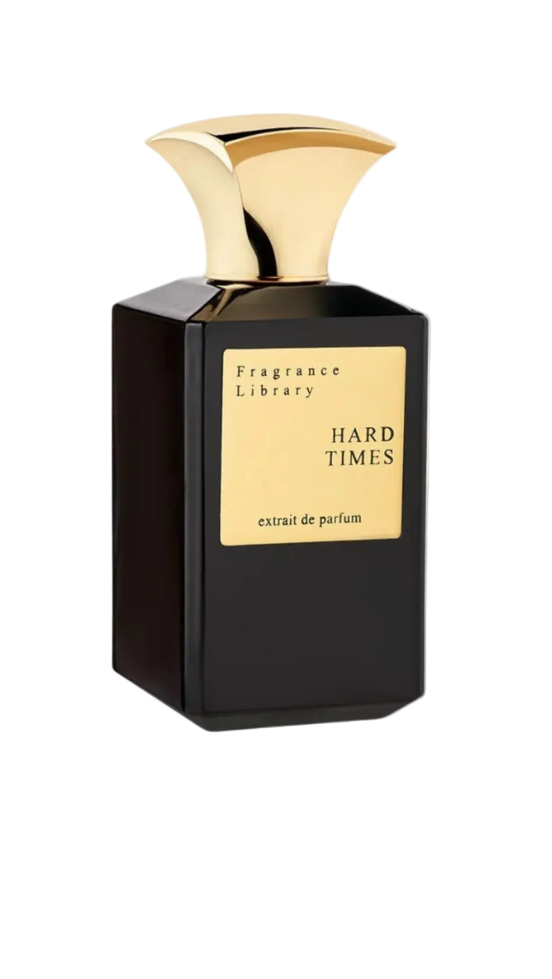 Fragrance Library Hard Times 100 ml Extrait de Parfum